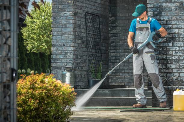 Best House Exterior Washing  in Curwensville, PA